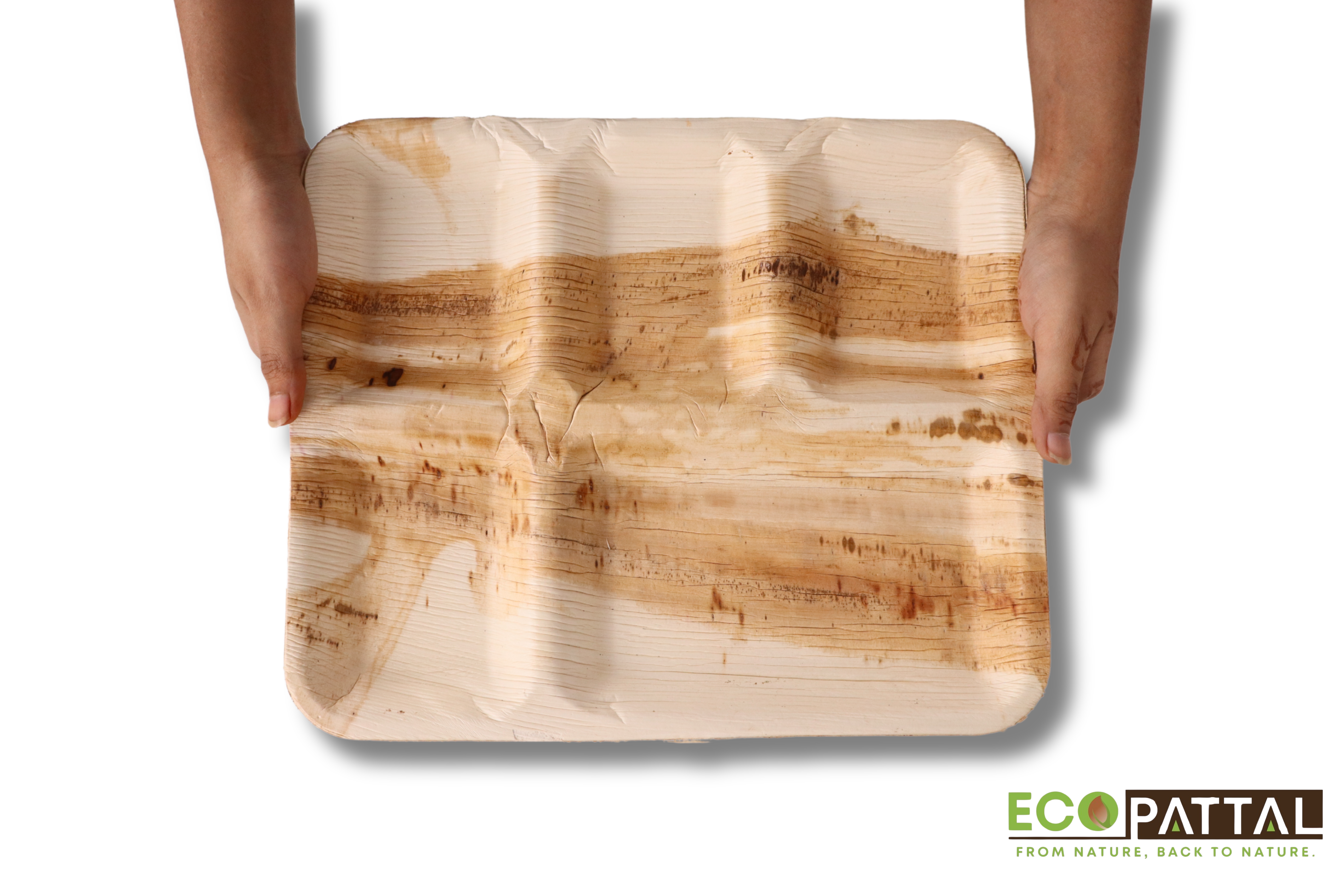 5 cp Round partition plates